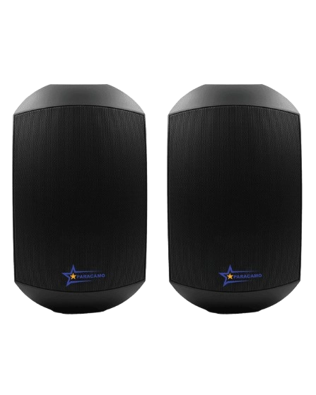 Speaker Image